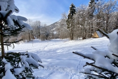 Okolica